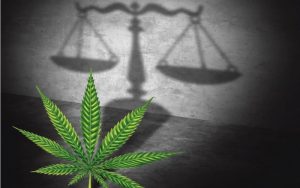 Home 10 Cannabis Law