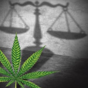 Cannabis Law in New Jersey